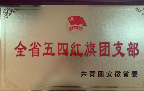 bat365官网电气信息工程学院2018级通信工程团总支荣获“全省五四红旗团（总）支部”称号